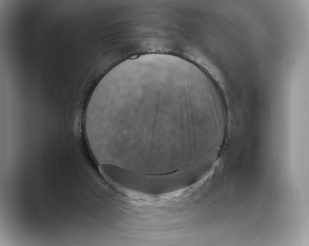 X0000088850009200707061041