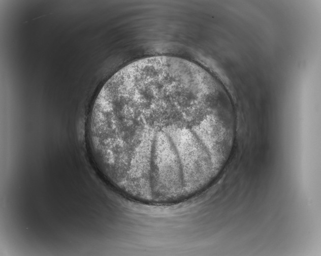 X0000088850010200707061041