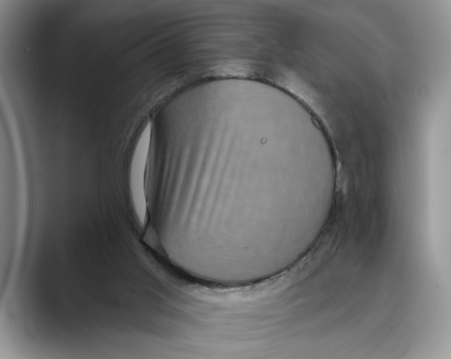 X0000088850013200707061041
