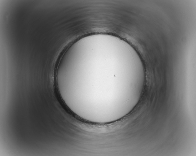 X0000088850015200707061041