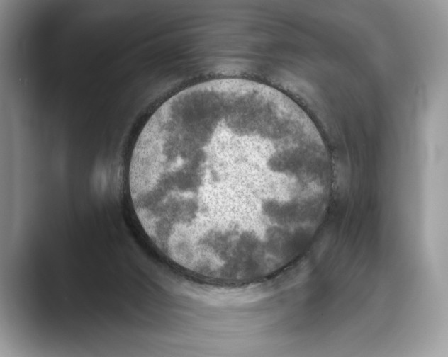 X0000088850016200707061041