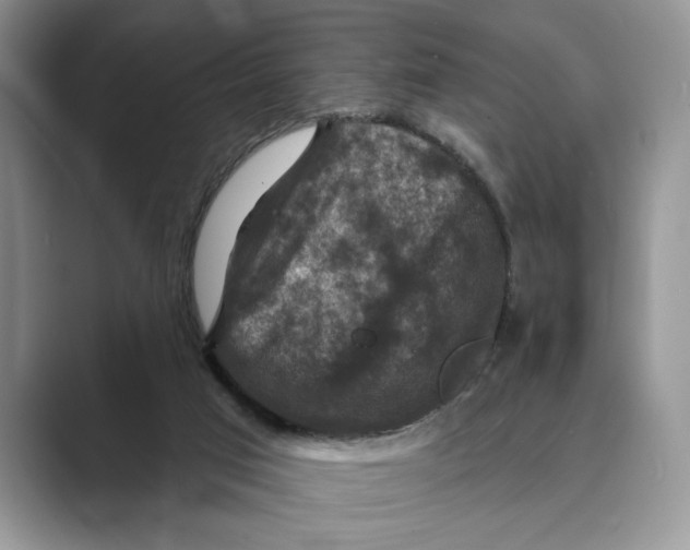 X0000088850017200707061041
