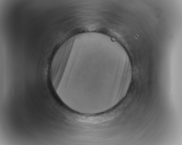 X0000088850018200707061041