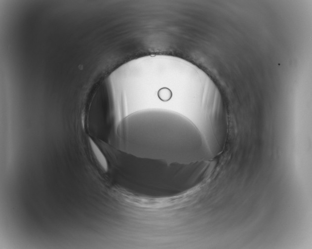 X0000088850019200707061041