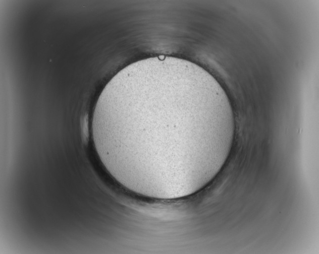 X0000088850020200707061041