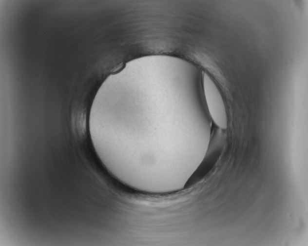 X0000088850021200707061041