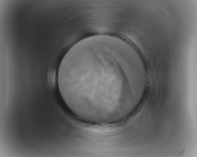 X0000088850024200707061041