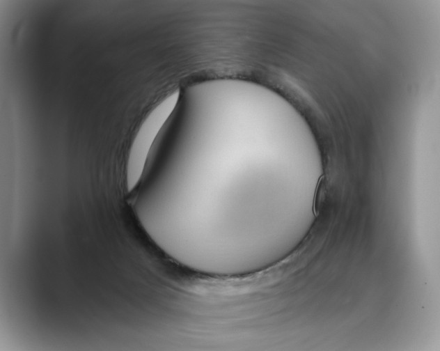 X0000088850025200707061041