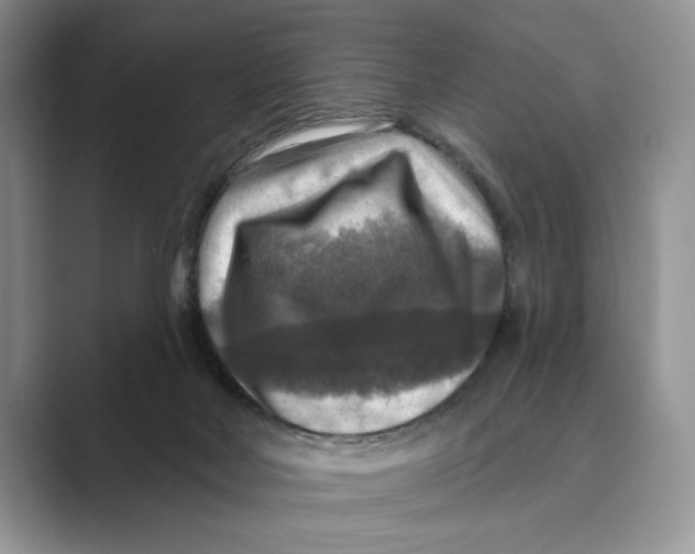 X0000088850026200707061041