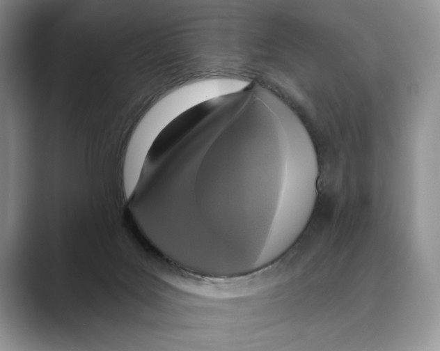 X0000088850027200707061041