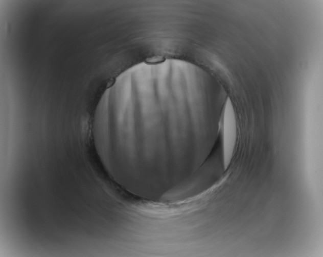 X0000088850029200707061041
