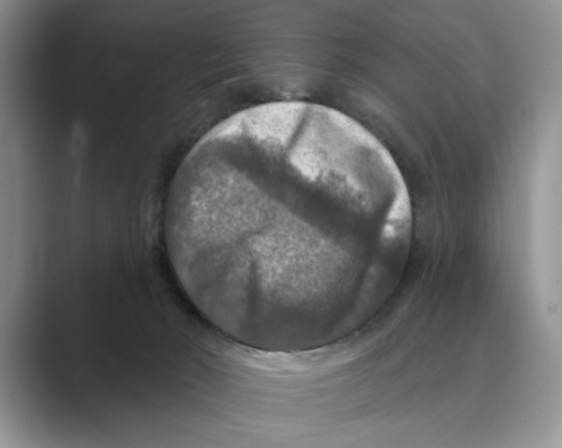 X0000088850030200707061041
