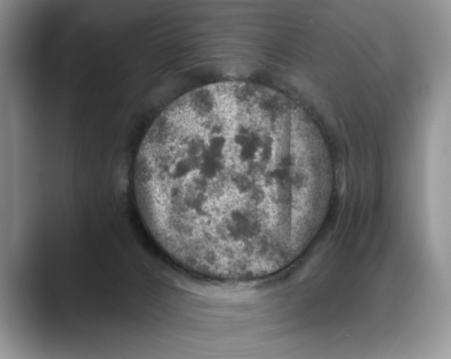X0000088850032200707061041