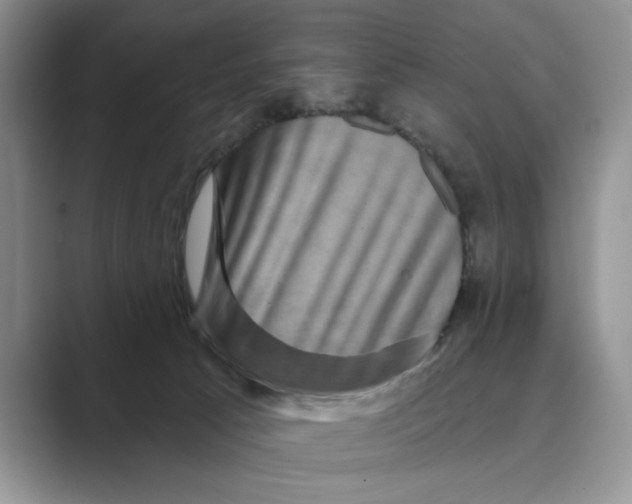 X0000088850033200707061041