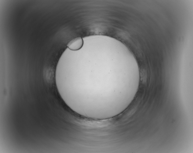 X0000088850036200707061041