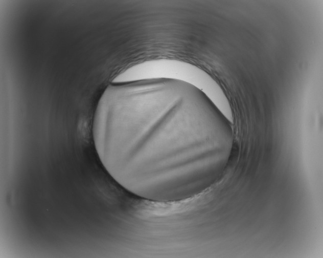 X0000088850037200707061041