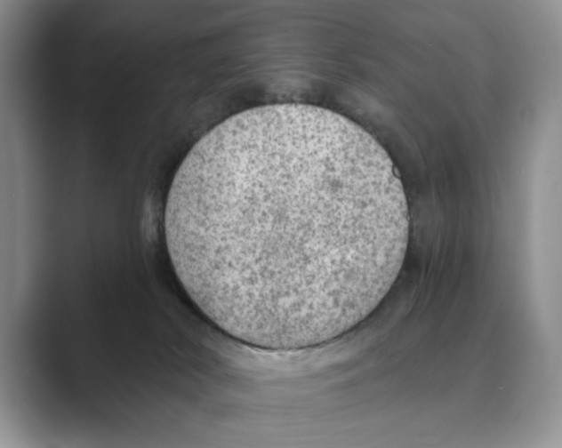 X0000088850038200707061041