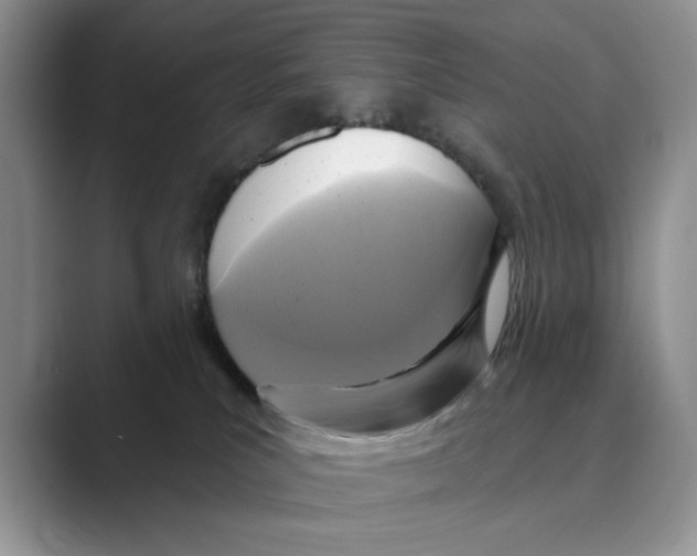 X0000088850039200707061041