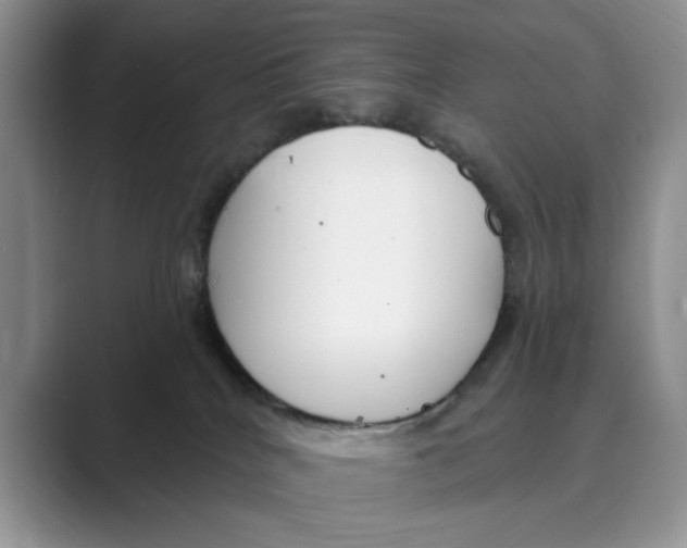 X0000088850040200707061041