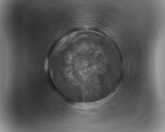 X0000088850041200707061041