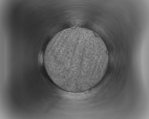 X0000088850042200707061041