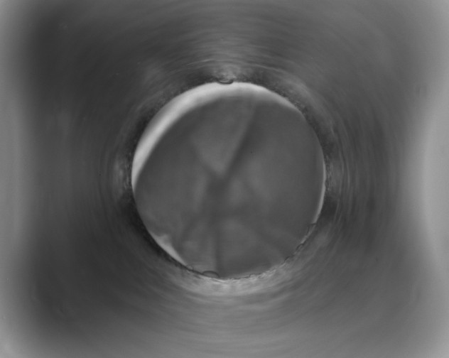 X0000088850043200707061041