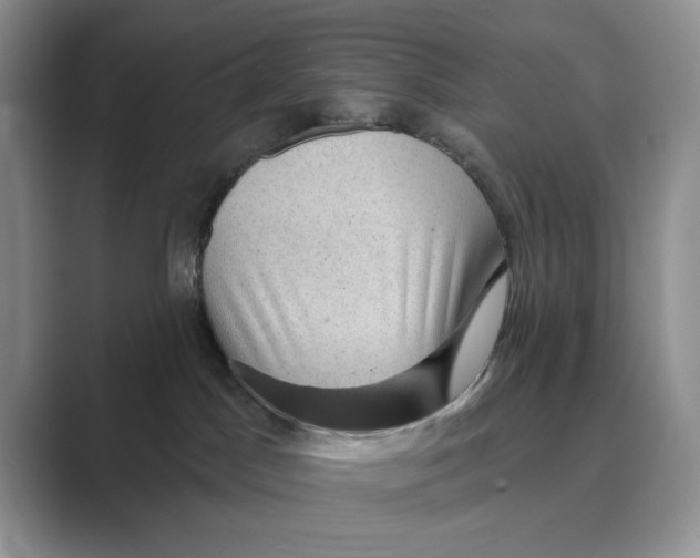 X0000088850045200707061041