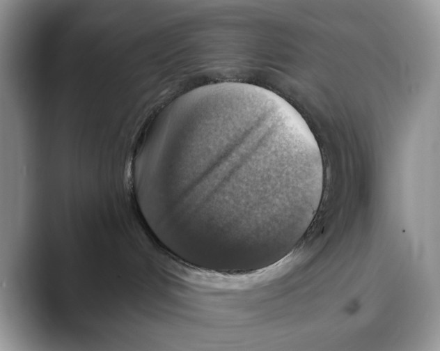 X0000088850048200707061041