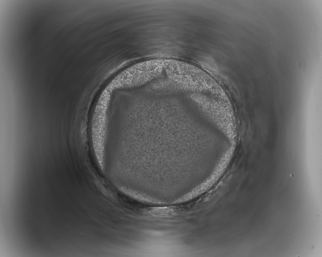 X0000088850050200707061040