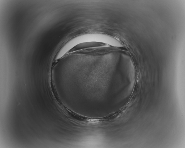 X0000088850052200707061040