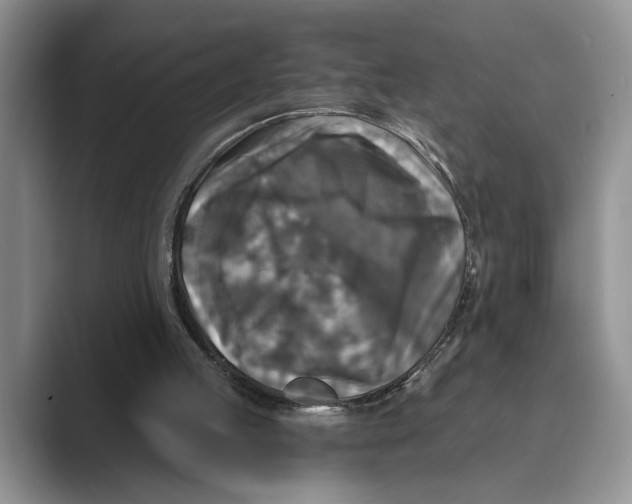 X0000088850053200707061040