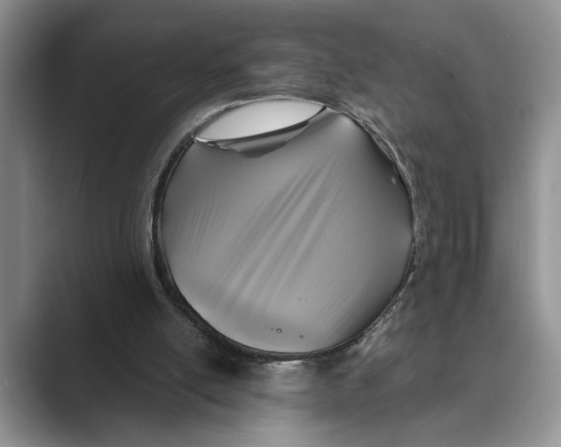 X0000088850054200707061040