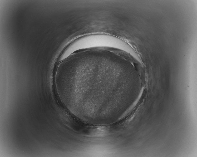 X0000088850056200707061040