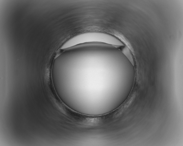 X0000088850057200707061040