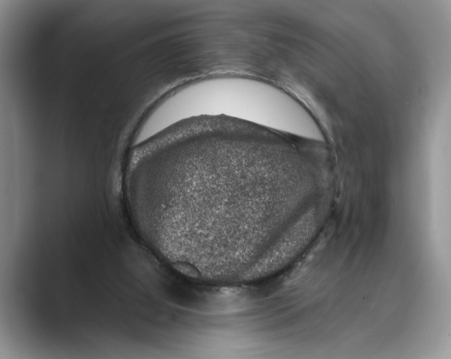 X0000088850060200707061040
