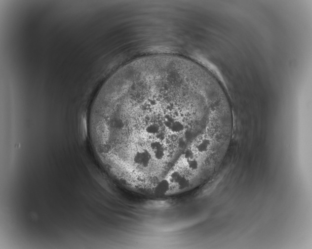 X0000088850061200707061040