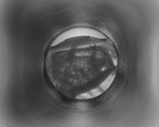 X0000088850063200707061040