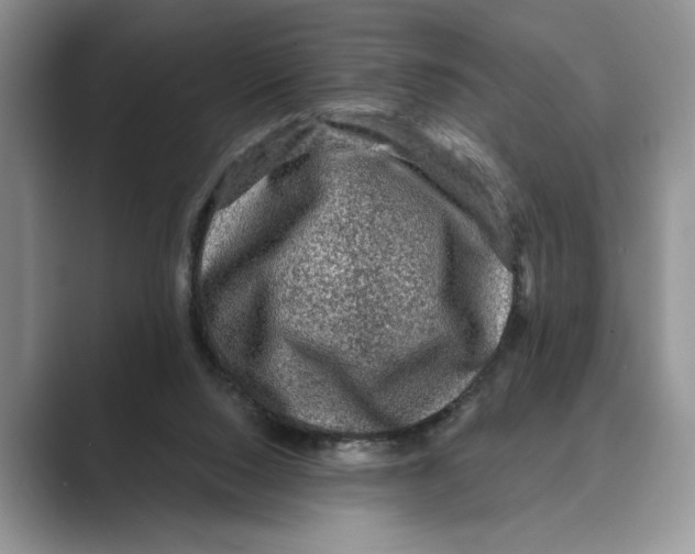 X0000088850064200707061040