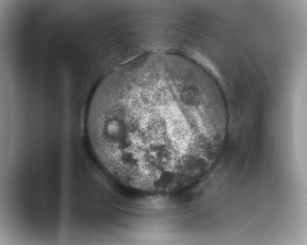 X0000088850065200707061040