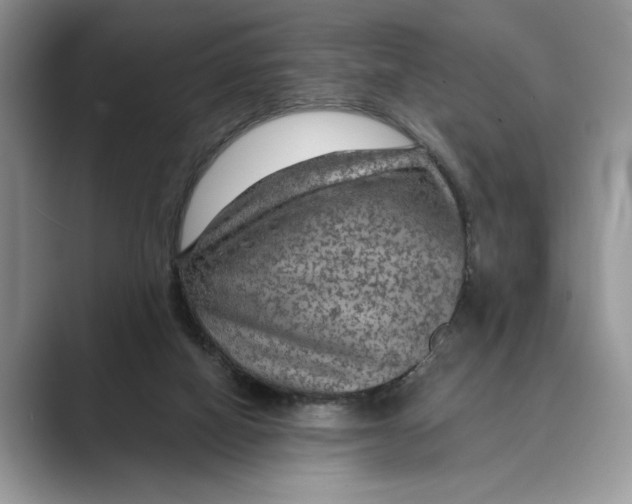 X0000088850066200707061040