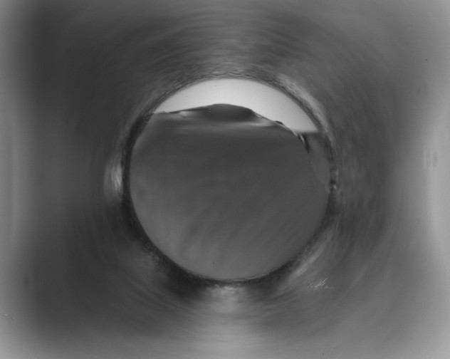 X0000088850067200707061040