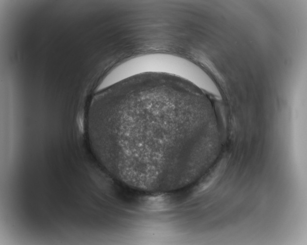 X0000088850068200707061040