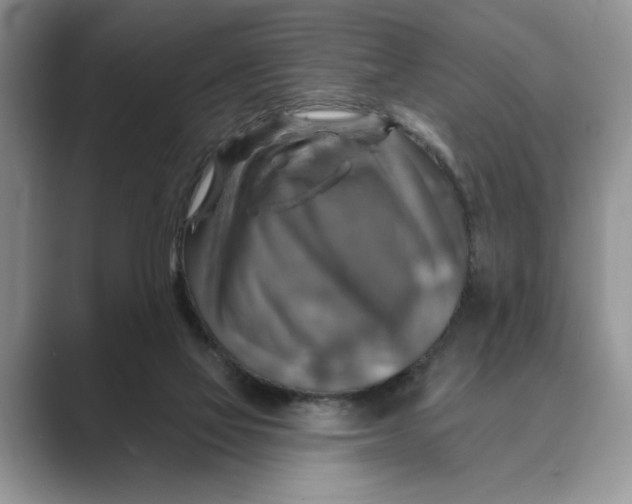 X0000088850069200707061040