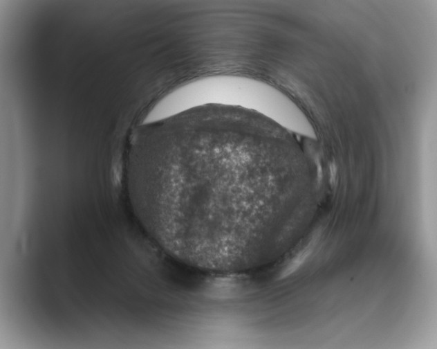 X0000088850072200707061040