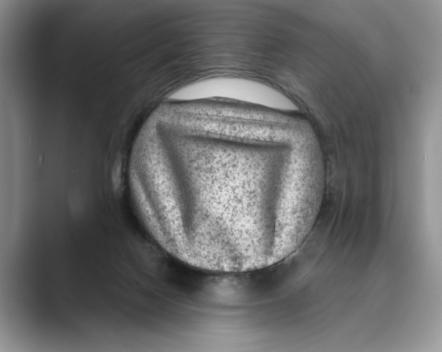 X0000088850074200707061040