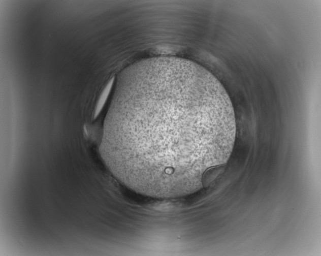 X0000088850075200707061040
