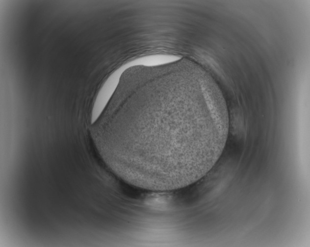 X0000088850077200707061040