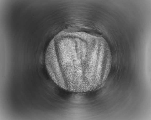 X0000088850078200707061040
