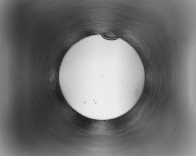 X0000088850079200707061040