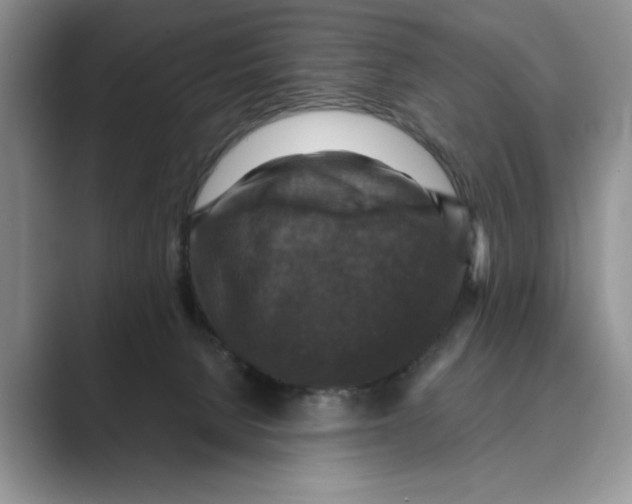 X0000088850080200707061040
